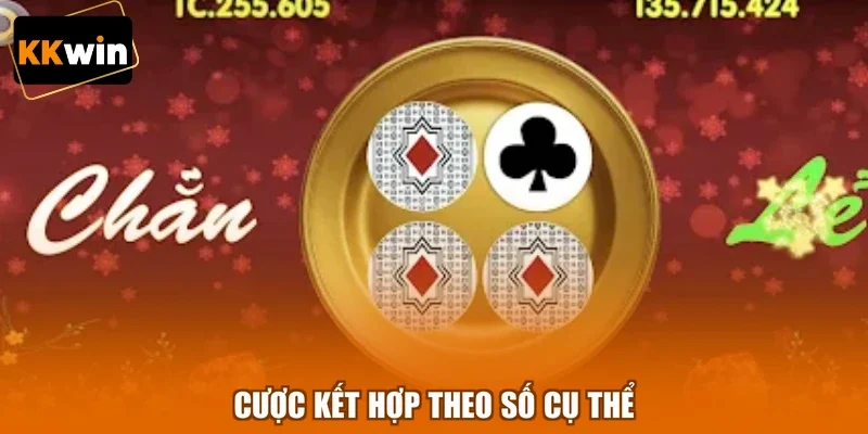 Cược kết hợp theo số cụ thể